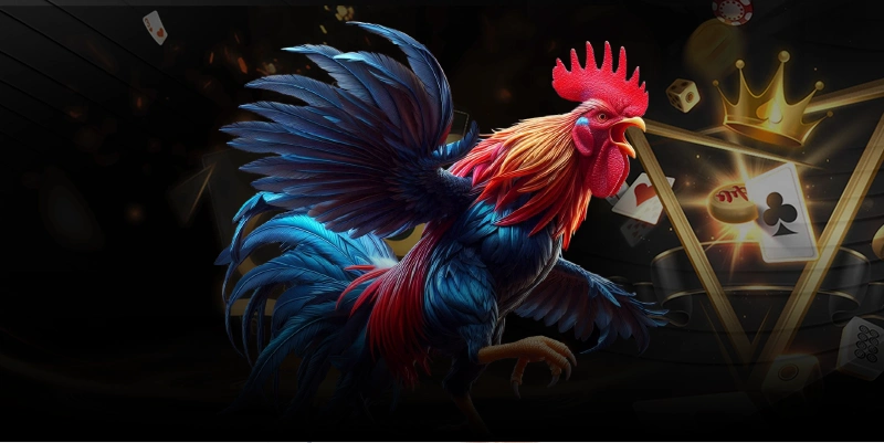 Tổng quan về đá gà win678